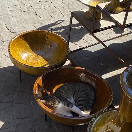 Villa Louisa Piscine Privee Sans Vis A Vis Dyar Shemsi تارودانت‎ المظهر الخارجي الصورة